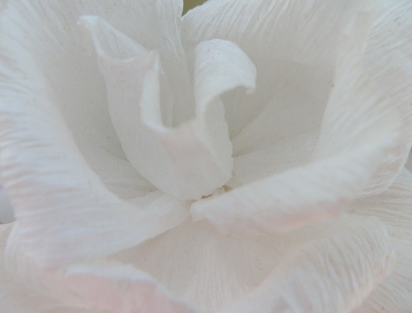 an