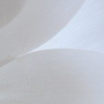fr1