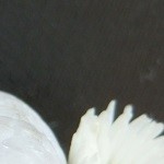 er1